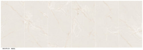 MS189L20（副本）